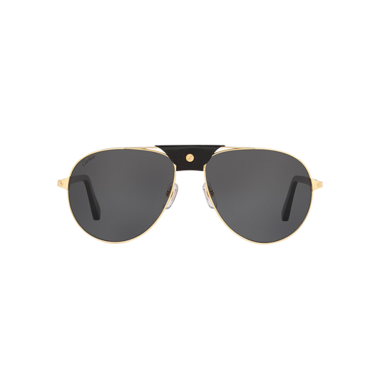 Cartier CT0096S | Unisex