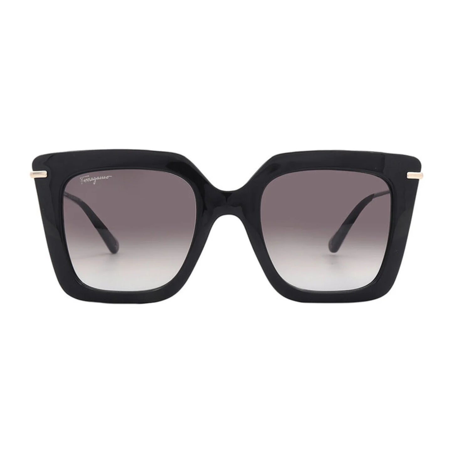 Salvatore Ferragamo SF1041S | Women