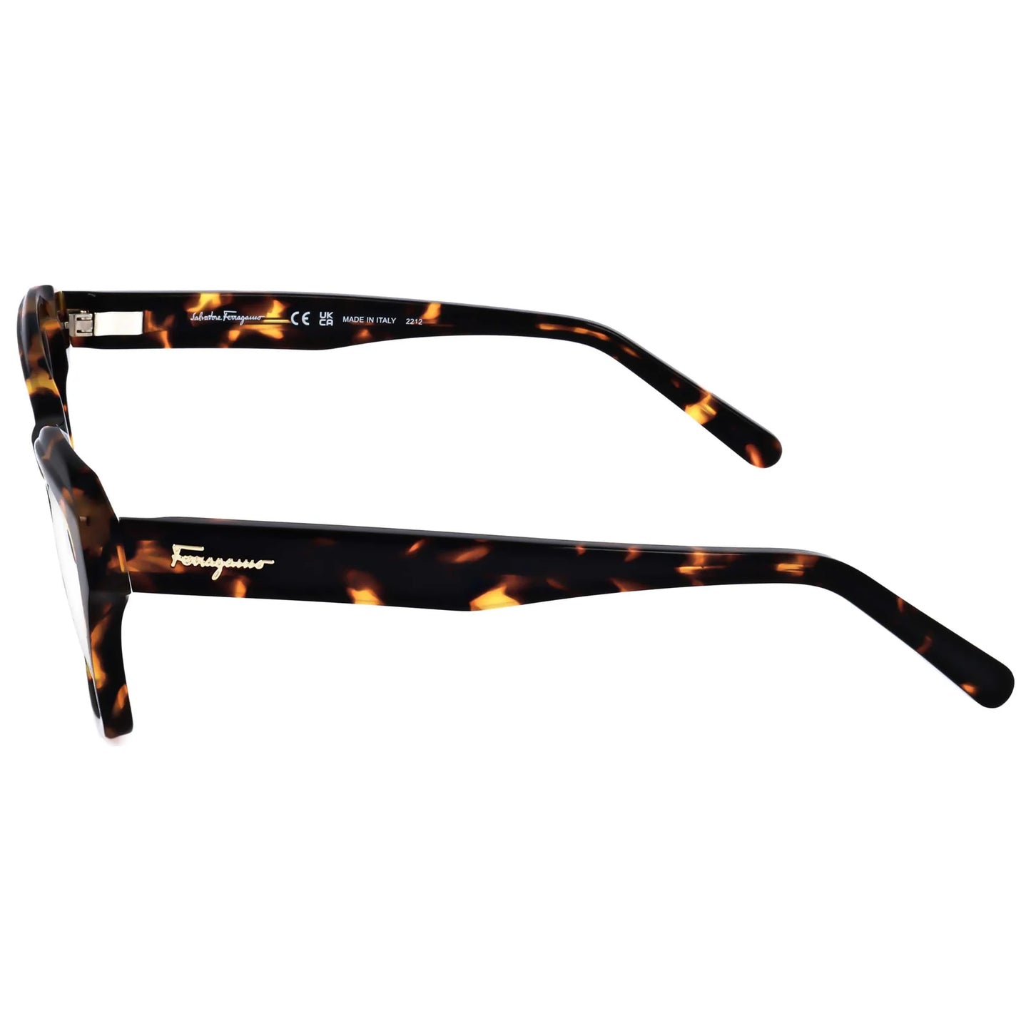 Salvatore Ferragamo SF2951 | Women