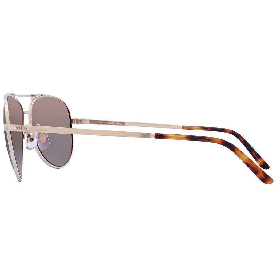 Cartier CT0083S | Unisex