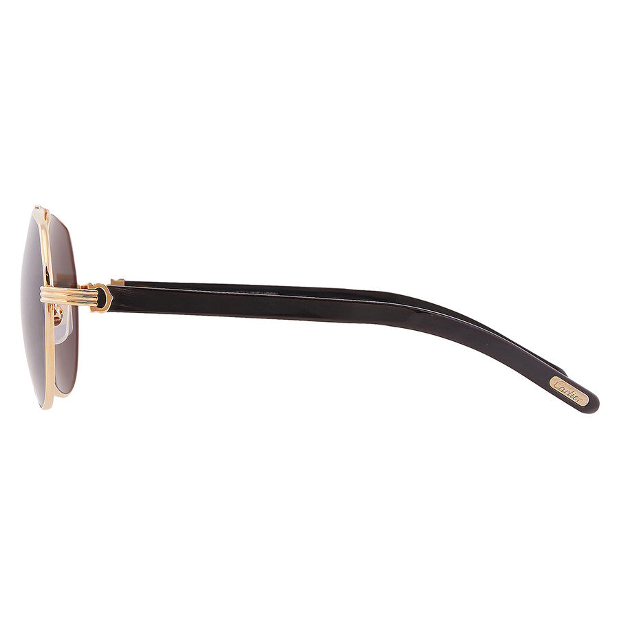 Cartier CT0272S | Men
