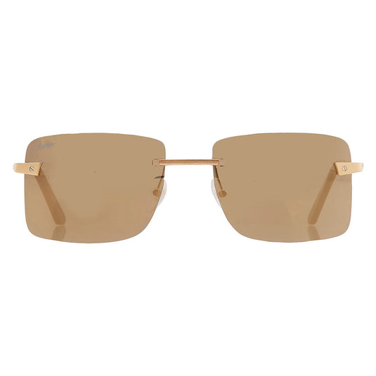 Cartier CT0033RS | Unisex