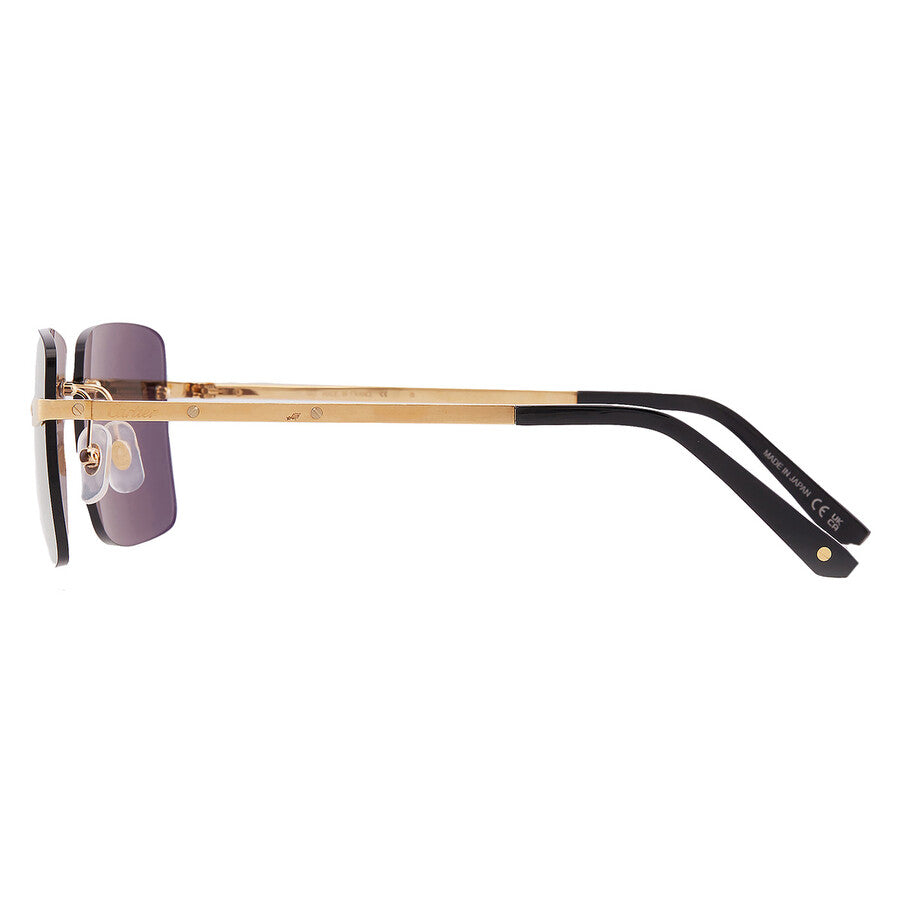 Cartier CT0033RS | Unisex