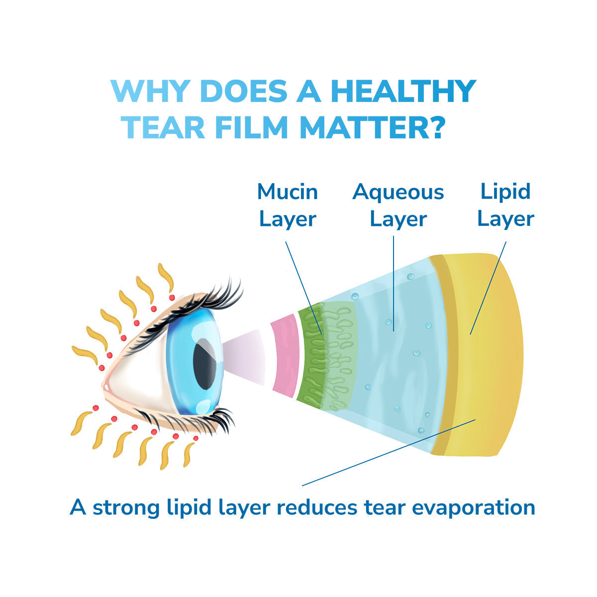 Optase® Moist Heat Dry Eye Mask – Reusable Microwavable Therapy for Dry Eye & MGD Relief