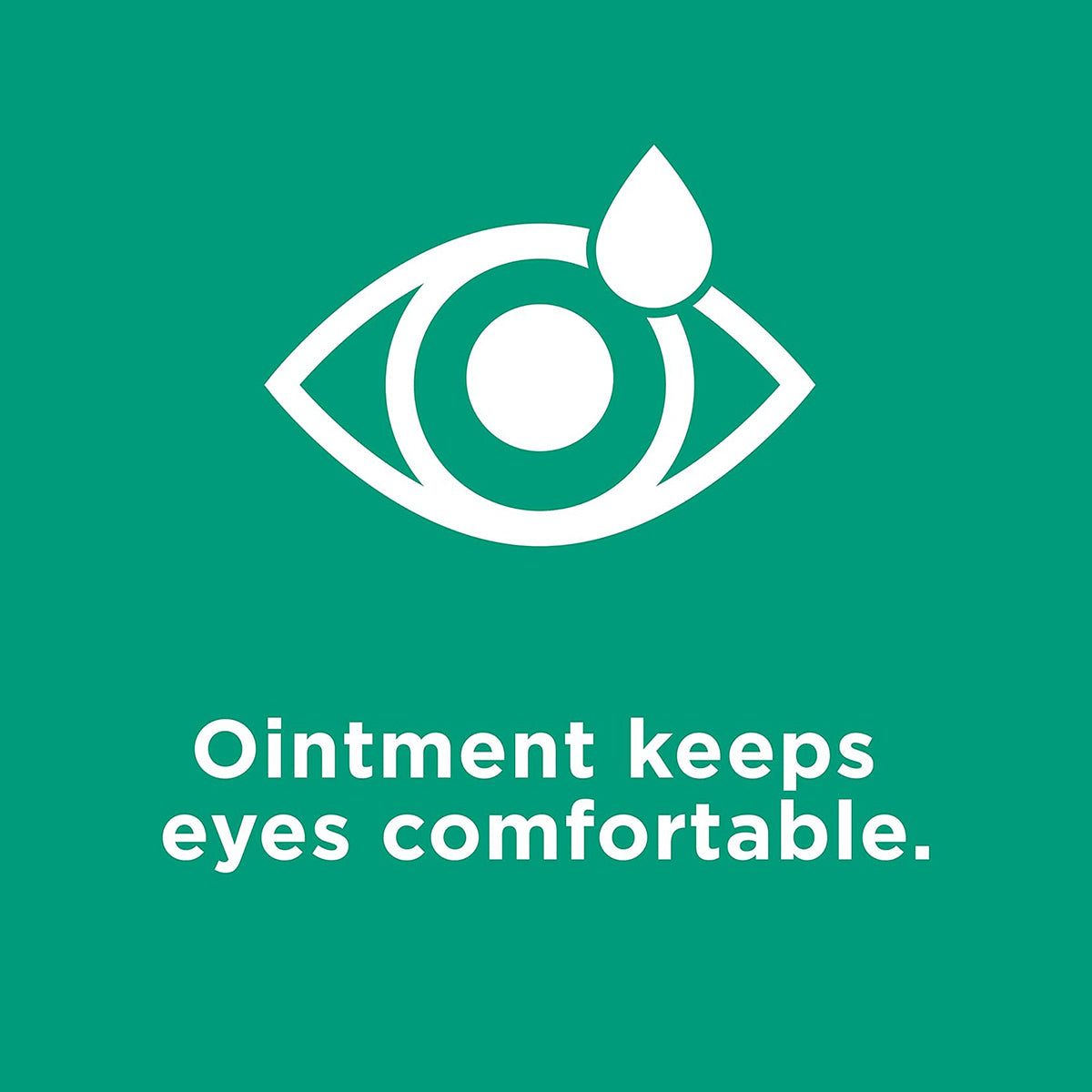 Systane® Nighttime Lubricant Eye Ointment – Long-Lasting Overnight Dry Eye Relief (3.5 g Tube)