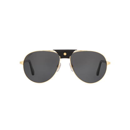Cartier CT0096S | Unisex