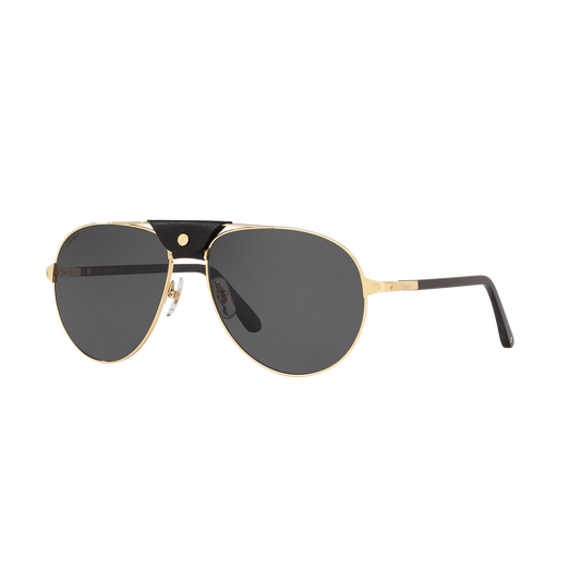 Cartier CT0096S | Unisex