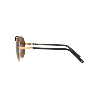 Cartier CT0096S | Unisex