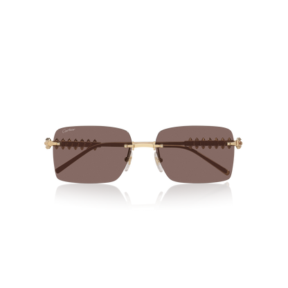 Cartier CT0545S | Women
