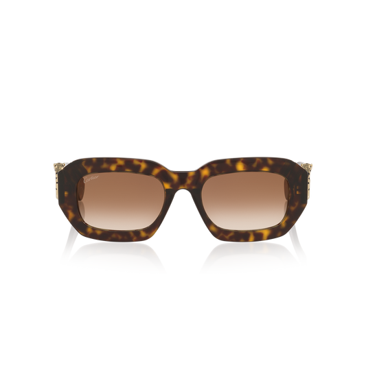 Cartier CT0546S | Women