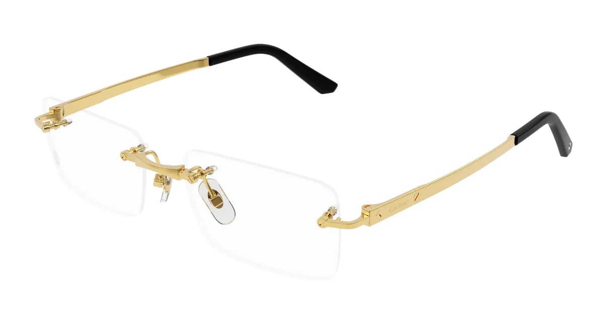 Cartier CT0511O-001 55