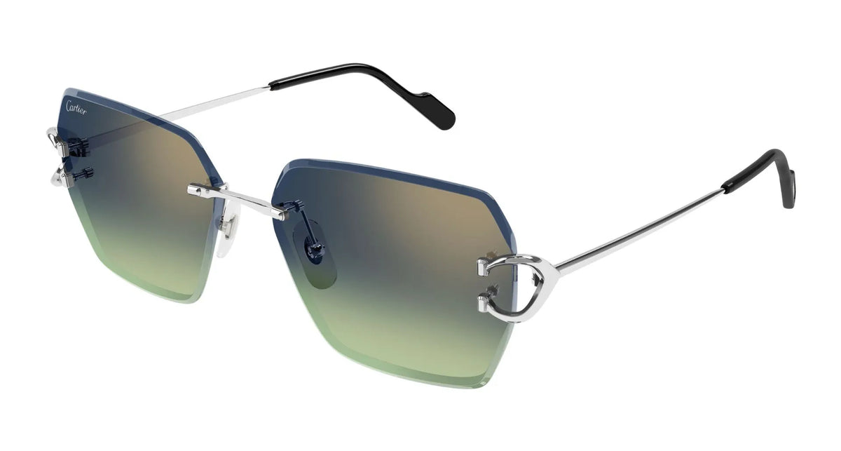 Cartier CT0466S-006 58