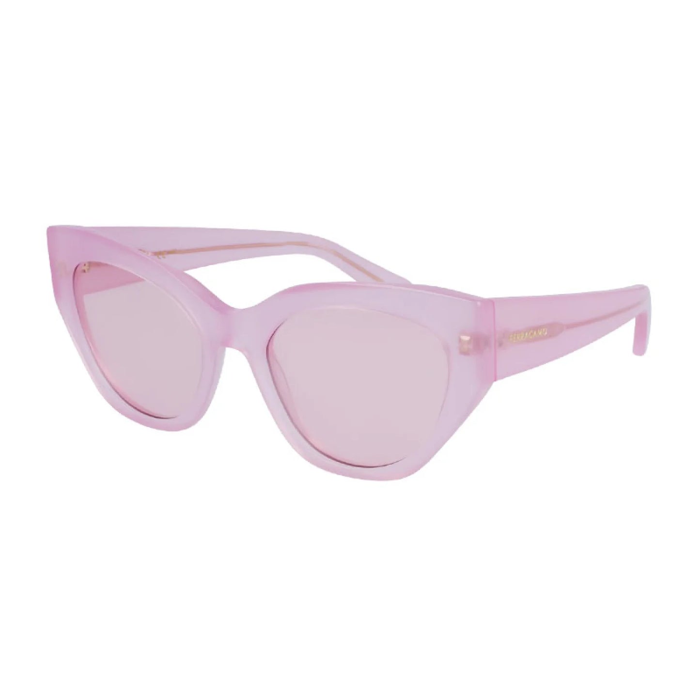 Salvatore Ferragamo SF1107S | Women