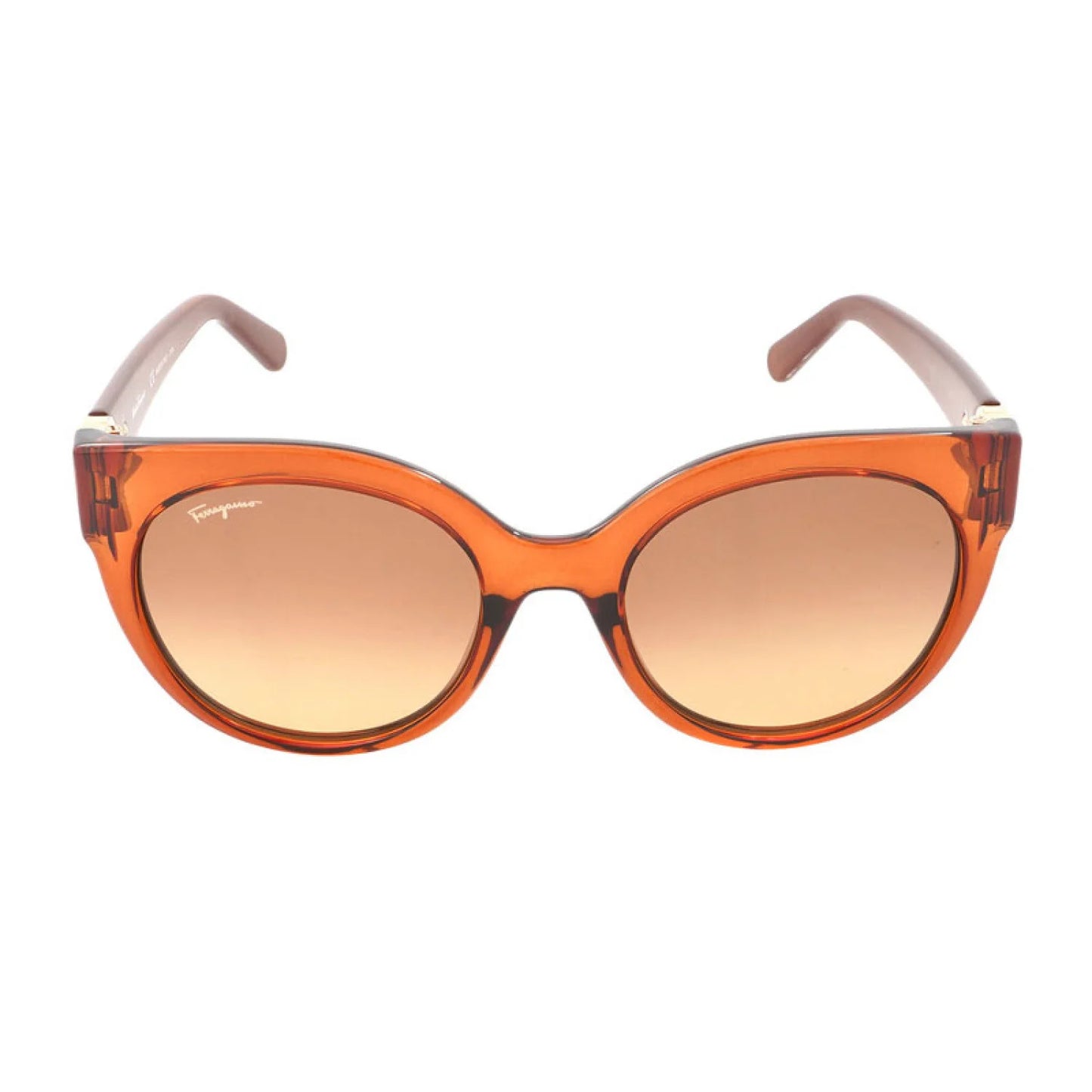 Salvatore Ferragamo SF1031S | Women