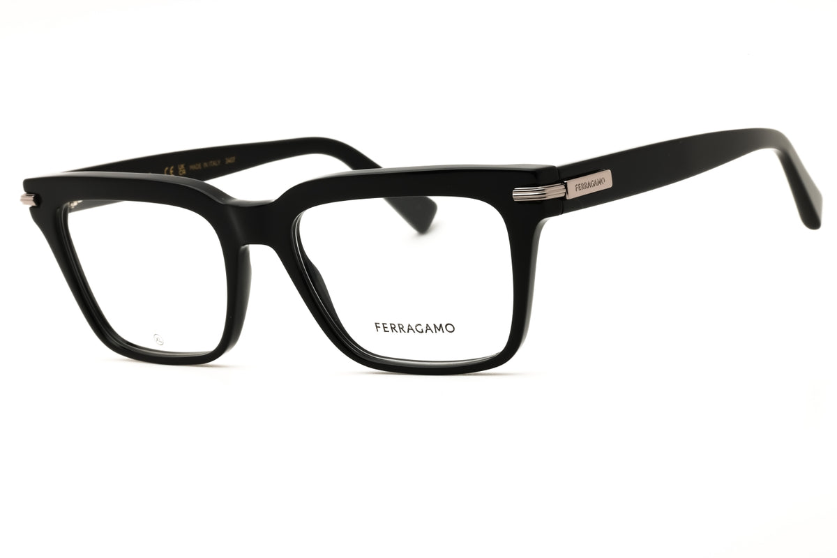 Salvatore Ferragamo SF3014-001 55