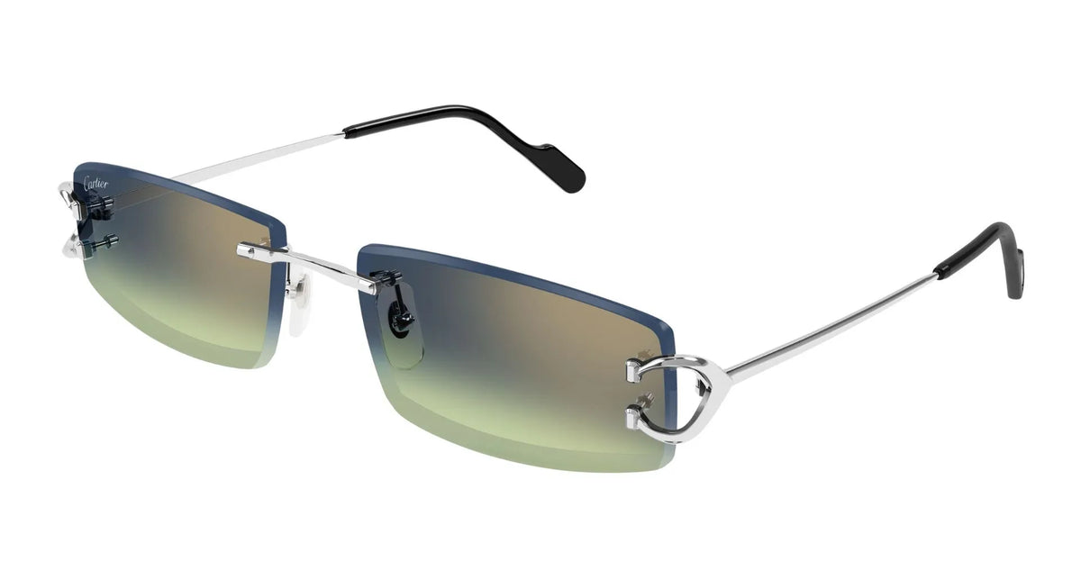 Cartier CT0465S-010 56