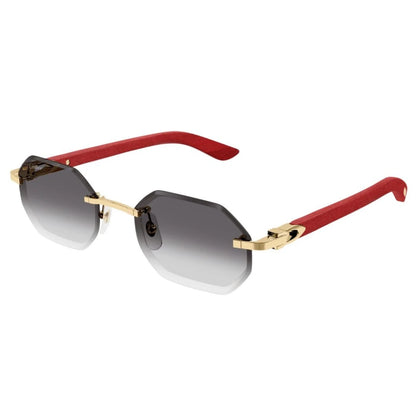 Cartier CT0439S-003 54