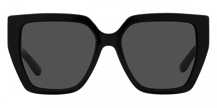 Dolce Gabbana 0DG4438-501-87-55 0