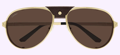 Cartier CT0296S-005 61