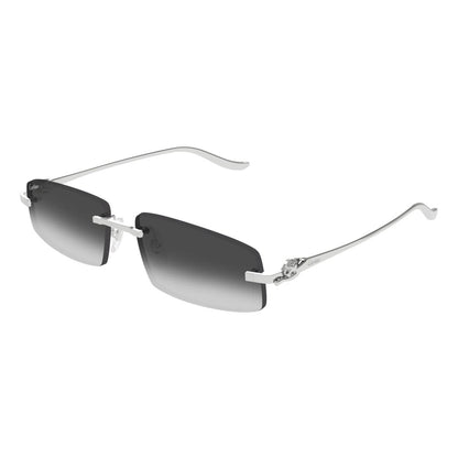 Cartier CT0505S-002 58