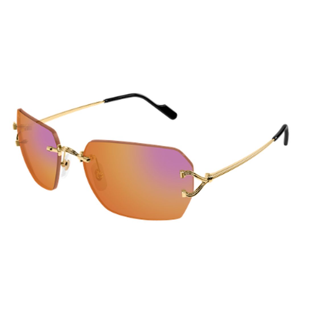 Cartier CT0664S-004 59