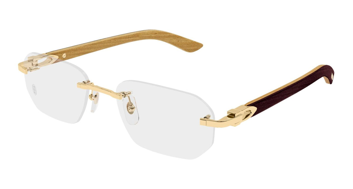 Cartier CT0583o-002 55