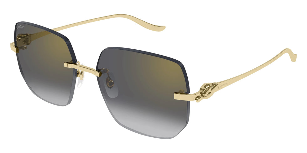 Cartier CT0549S-005 57