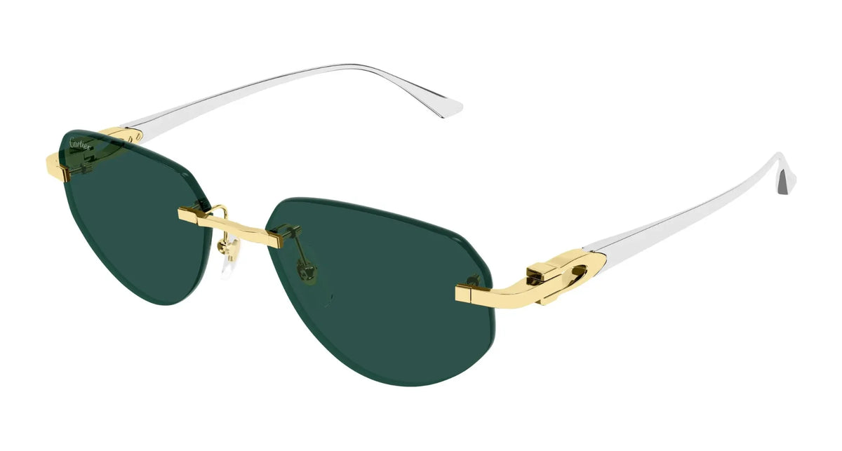 Cartier CT0661S-002 54