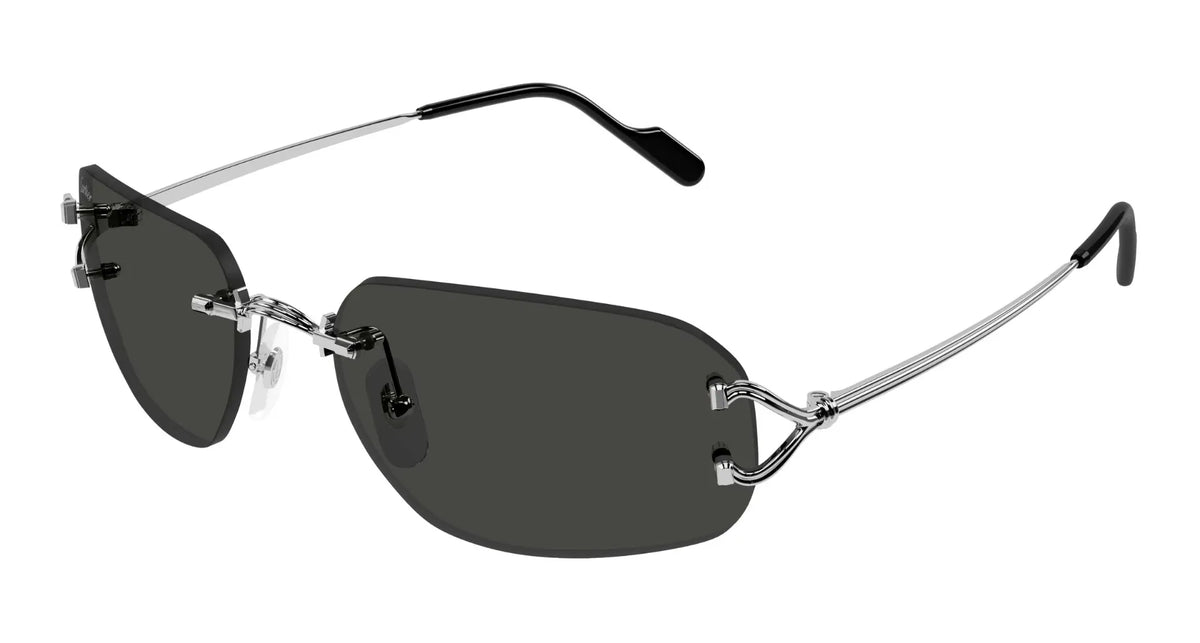 Cartier CT0663S-002 58