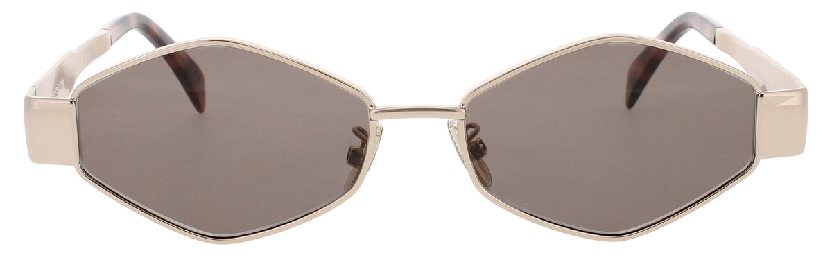 Celine CL40254U 5428A 54