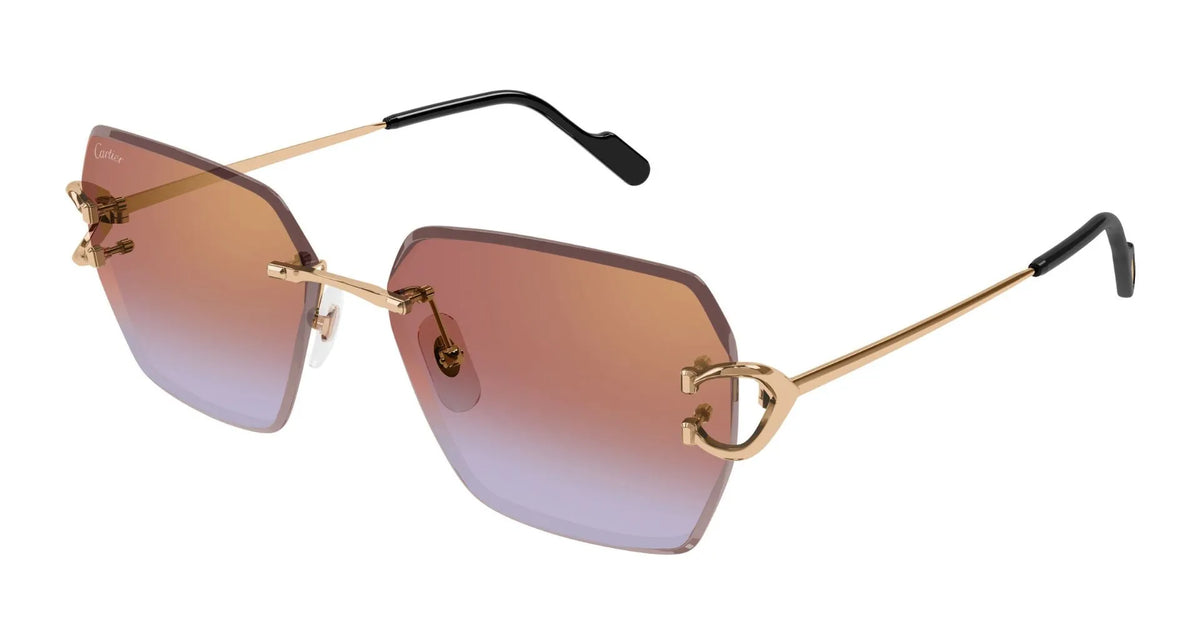 Cartier CT0466S-005 58