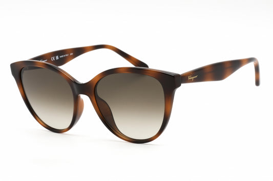 Salvatore Ferragamo SF1073S-240 54