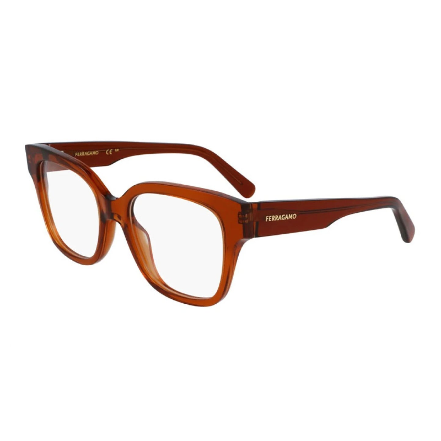 Salvatore Ferragamo SF2952N | Women