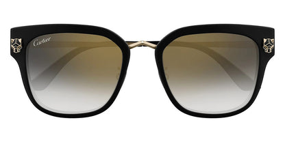 Cartier CT0509SA-001 55