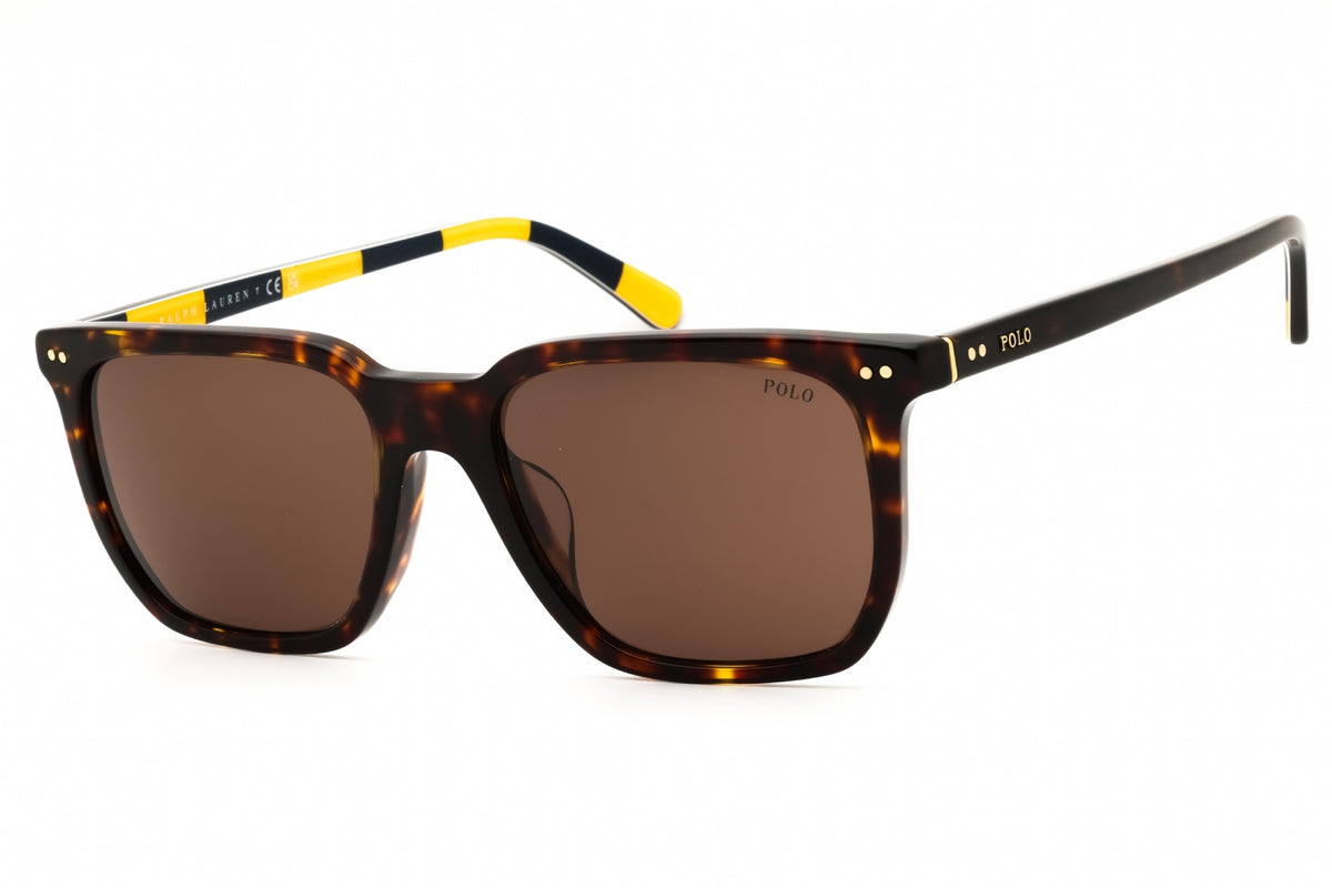 Polo Ralph Lauren 0PH4224F-500373 55