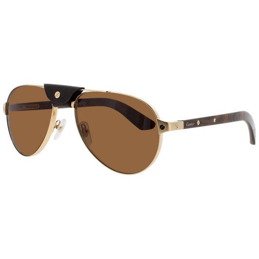 Cartier CT0495S | Men