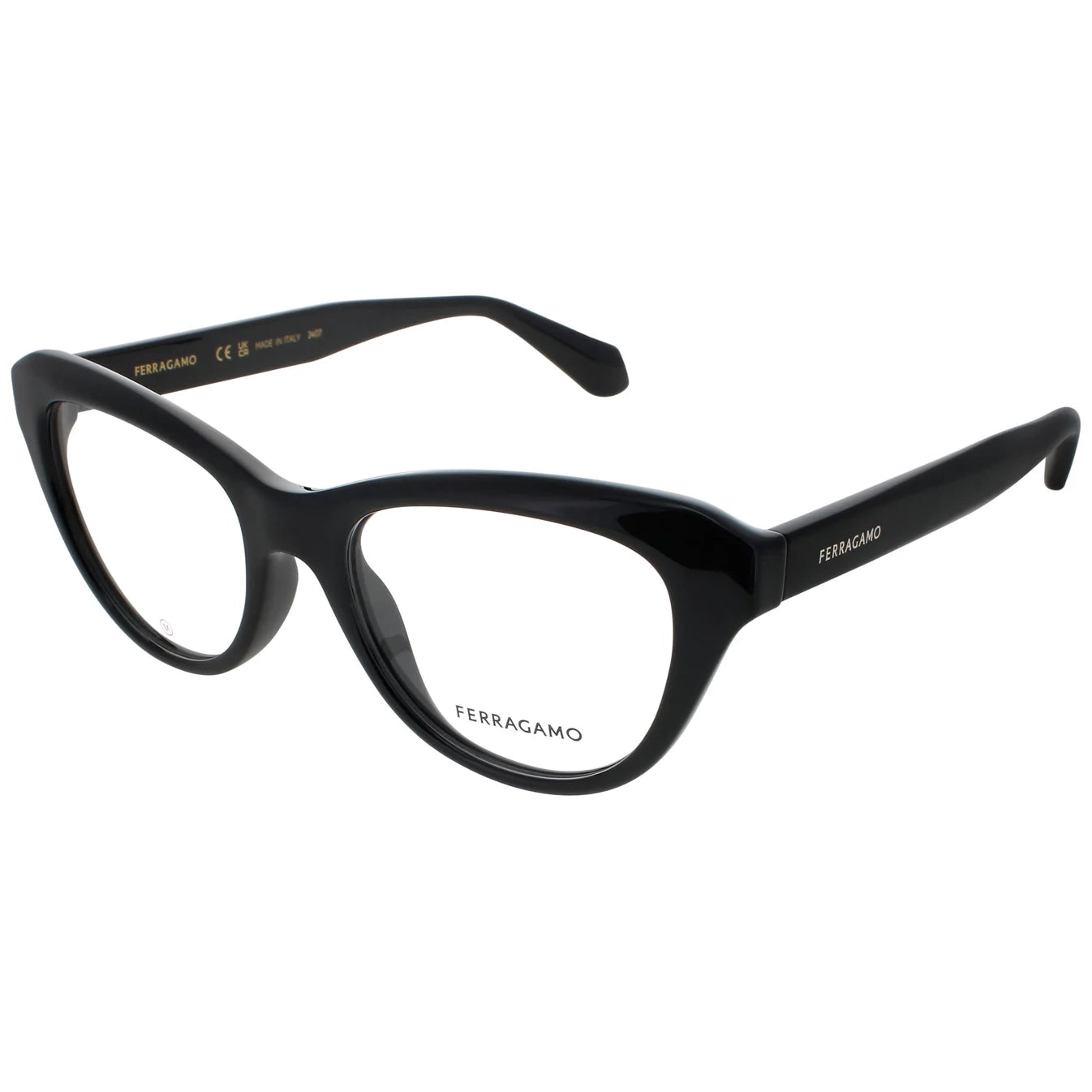 Salvatore Ferragamo SF2989E | Women