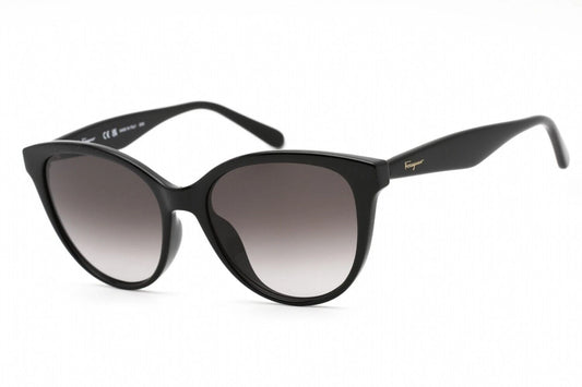 Salvatore Ferragamo SF1073S-001-5417 54