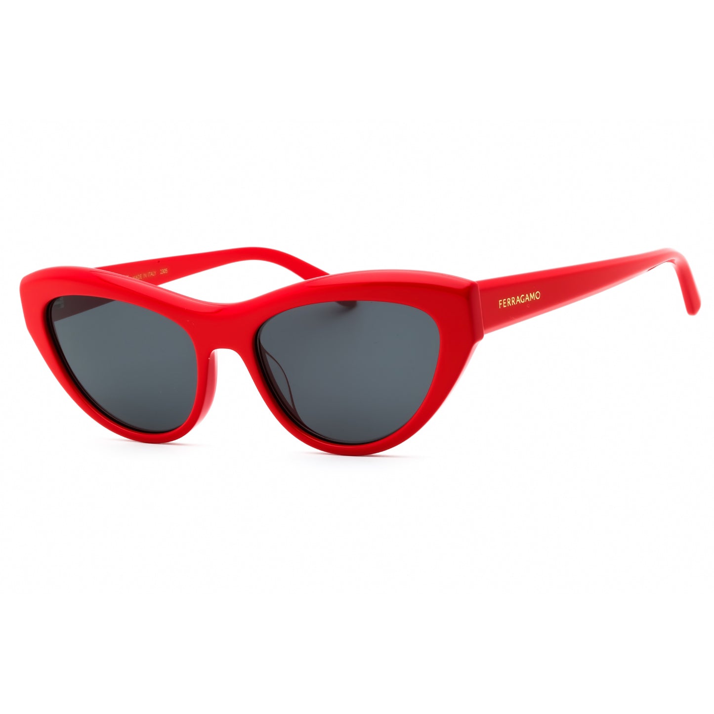 Salvatore Ferragamo SF1103S | Women