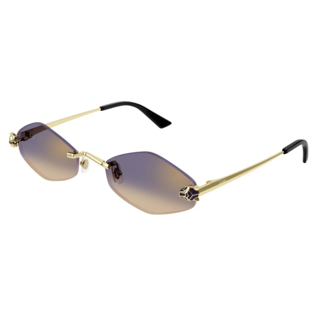 Cartier CT0433S-005 55