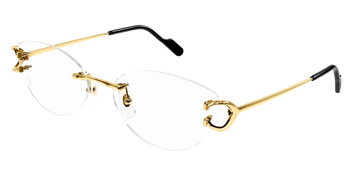 Cartier CT0487O-001 57