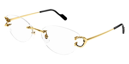 Cartier CT0487O-001 57