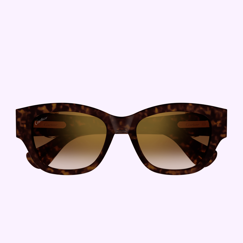 Cartier CT0548SA-002 55