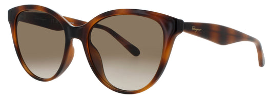Salvatore Ferragamo SF1073S-240 54