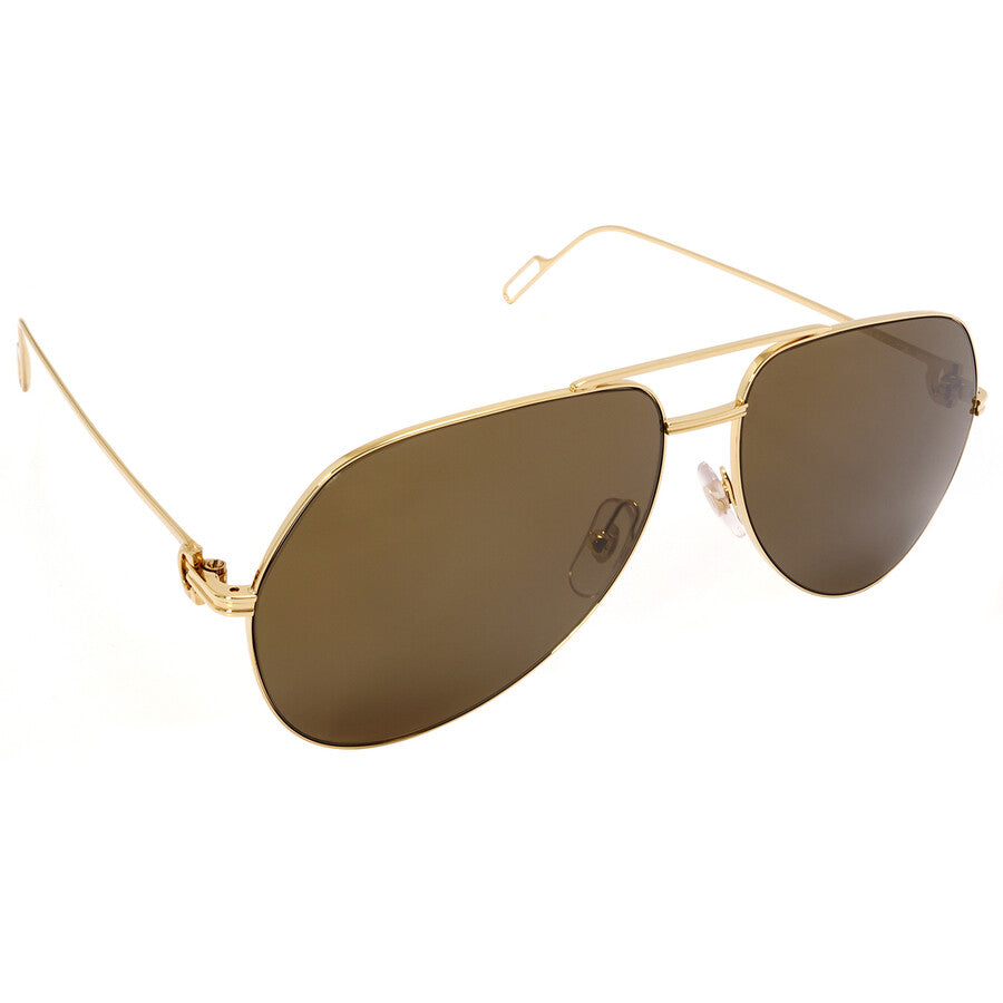 Cartier CT0110S | Unisex