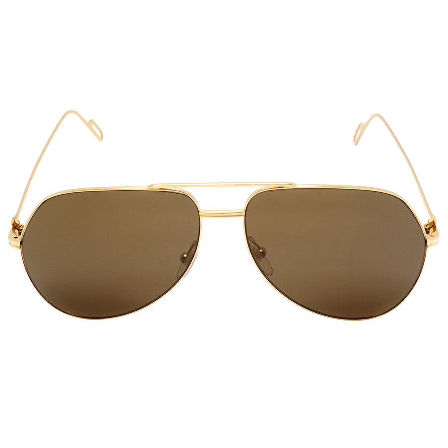 Cartier CT0110S | Unisex
