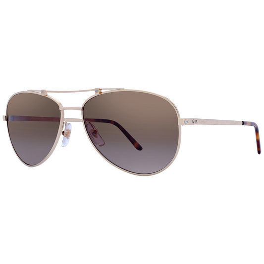 Cartier CT0083S | Unisex