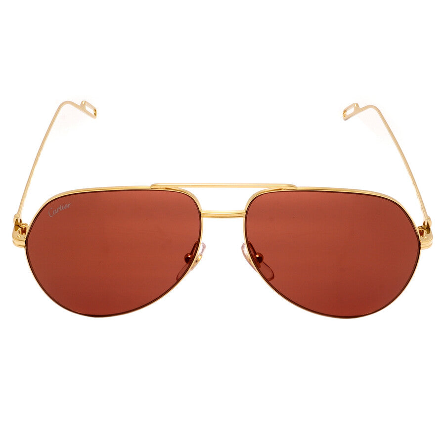 Cartier CT0110S | Unisex