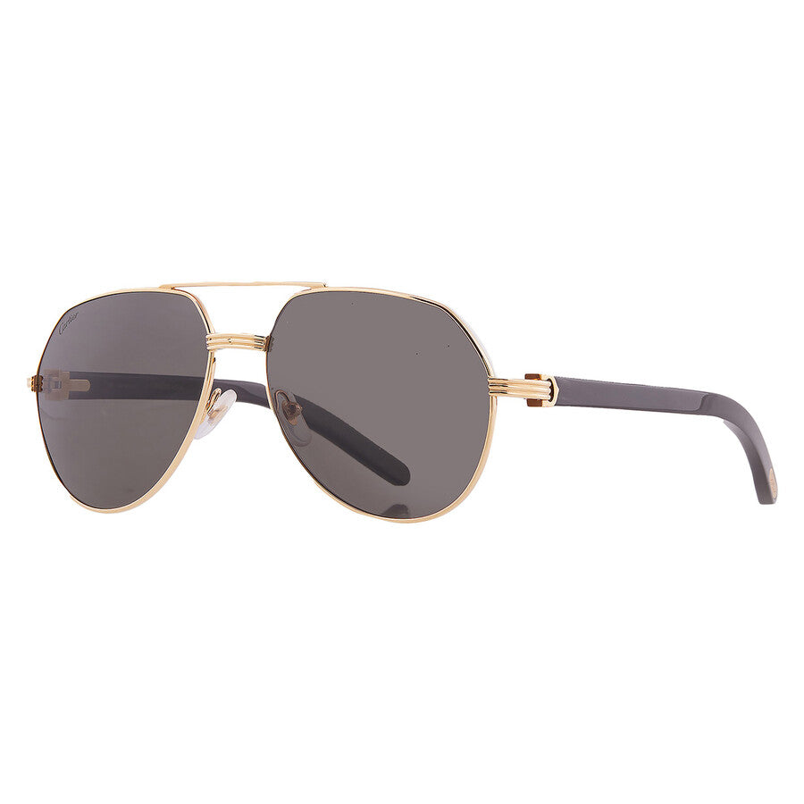 Cartier CT0272S | Men
