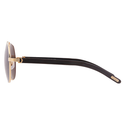 Cartier CT0272S | Men